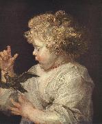 RUBENS, Pieter Pauwel Boy with Bird Germany oil painting reproduction